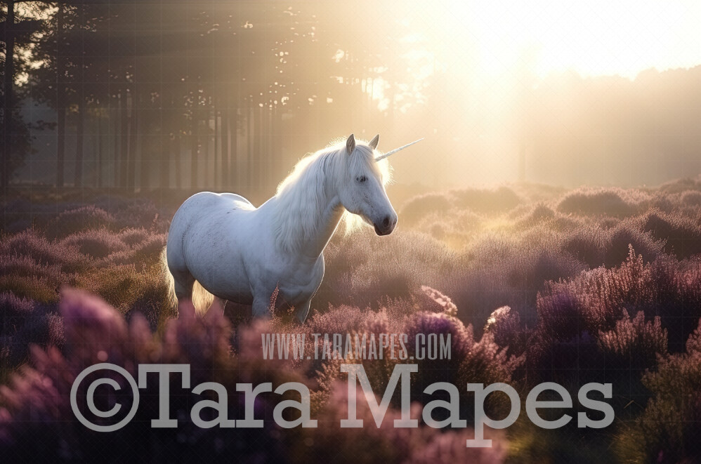 Unicorn Digital Backdrop - Unicorn in Magical Field - Warm Sunlit Unicorn Digital Background JPG