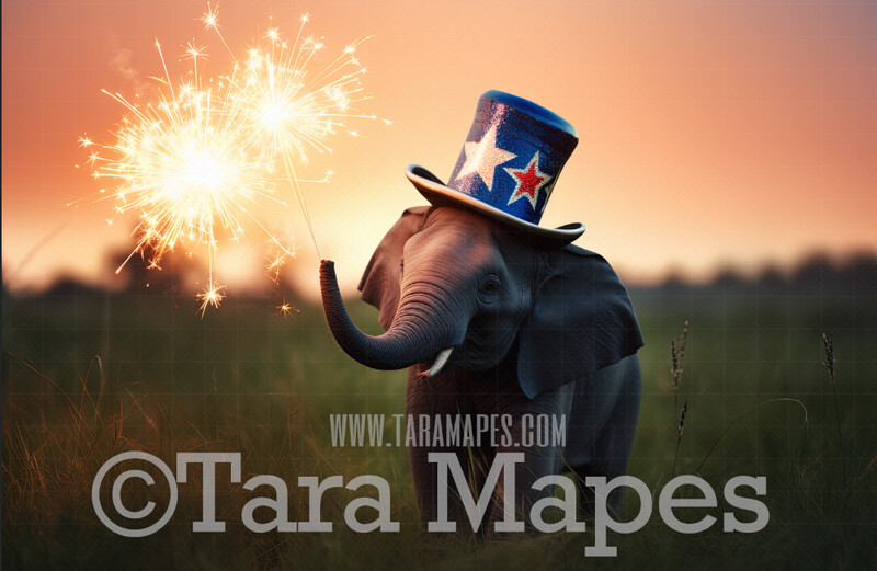 Fourth of July Digital Background - Patriotic Elephant with Red White and Blue Hat - Sparkler - Fourth of July Digital Background Backdrop Fourth of July Digital Background - Patriotic Elephant with Red White and Blue Hat - Sparkler - Fourth of July Digital Background Backdrop