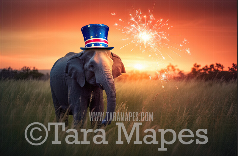 Fourth of July Digital Background - Patriotic Elephant with Red White and Blue Hat - Sparkler - Fourth of July Digital Background Backdrop