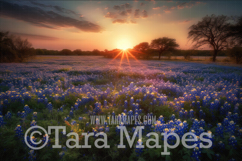Field of  Blue Bonnets Digital Backdrop -   Flower Field - Tulips  Digital Background - JPG