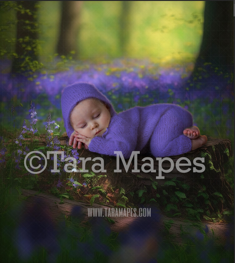 Tree Stump in Bluebell Forest Digital Backdrop -  Painterly Mossy Fairy Forest - Mossy Bluebell Forest - Newborn Fairy Nature Digital Background JPG