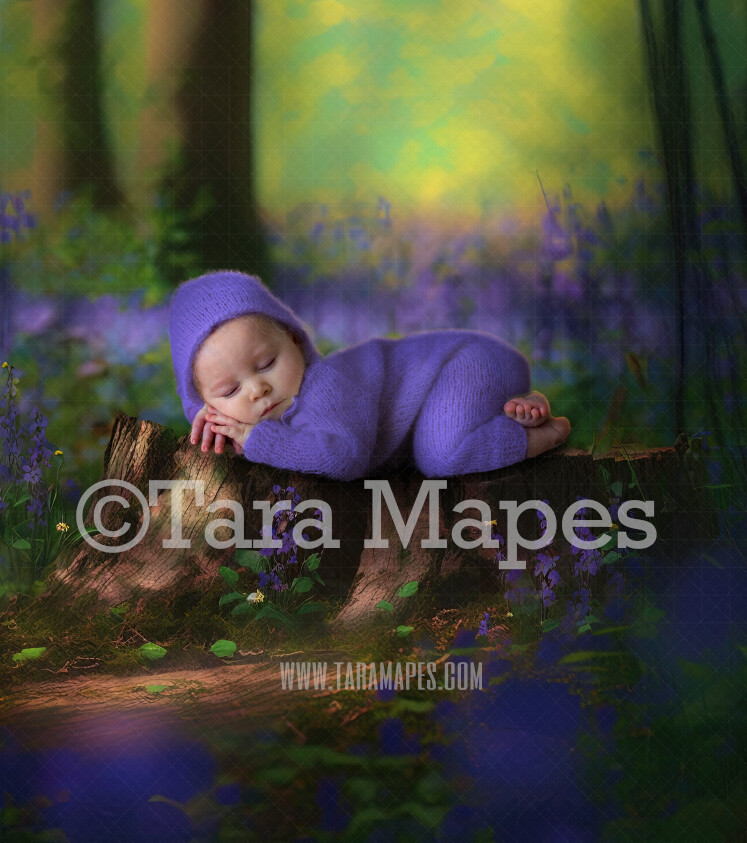 Tree Stump in Bluebell Forest Digital Backdrop -  Painterly Mossy Fairy Forest - Mossy Bluebell Forest - Newborn Fairy Nature Digital Background JPG