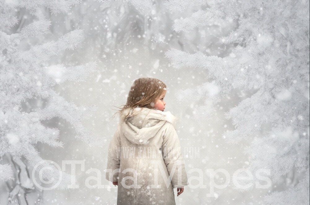 Painterly Snowy Forest Digital Backdrop -  Snowy Trees Digital Background JPG - Free Snow Overlay Included