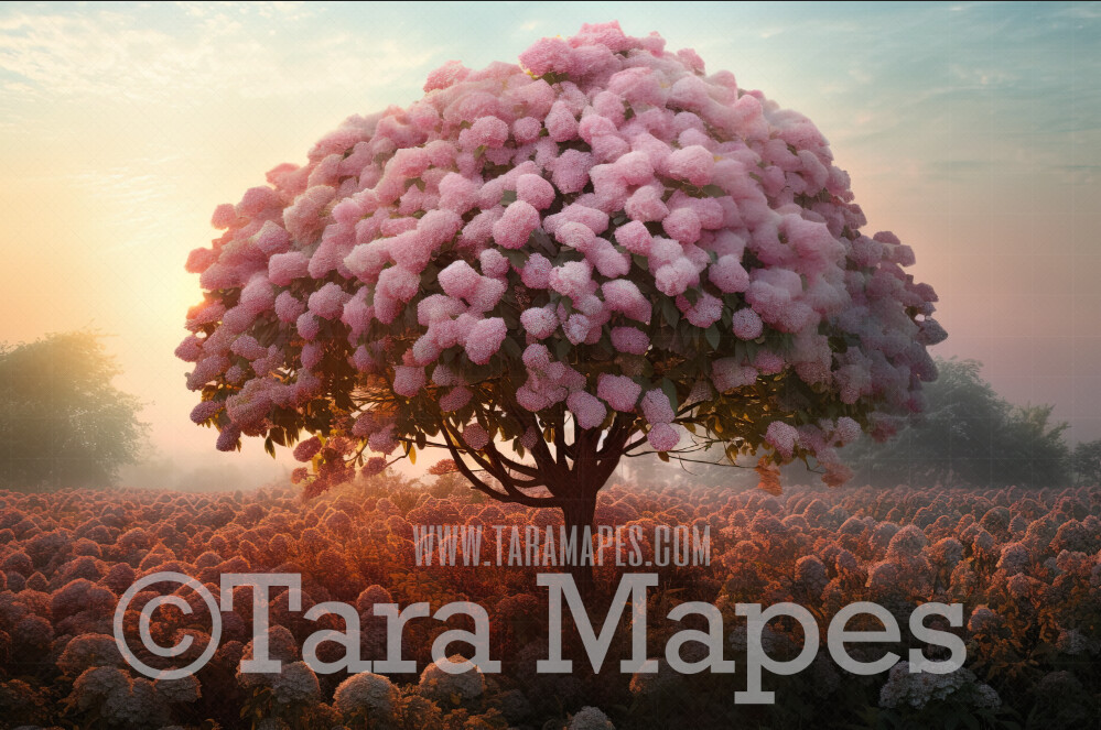 Pink Flower Tree Digital Backdrop - Pink Snowball Tree - Flower Ball Tree Digital Background JPG