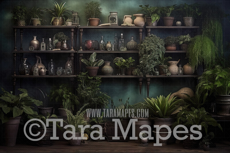 Wizard Greenhouse Shelves Digital Backdrop - Shelves with Mandrake Plants - Wizard Digital Background
