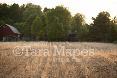 Farm Field Digital Backdrop - Field Digital Background JPG
