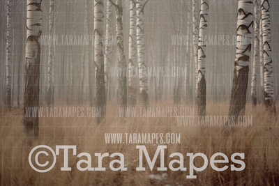 Birch Forest Digital Backdrop - White Trees Forest Digital Background JPG