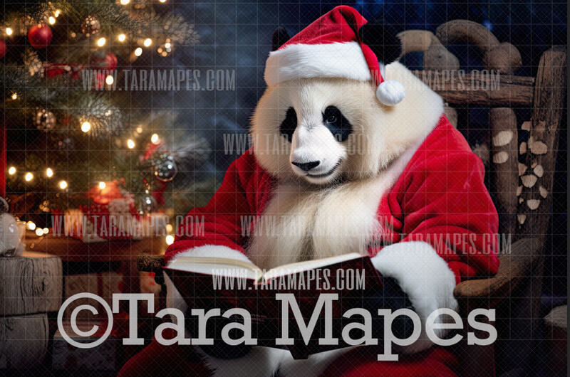 Christmas Panda Digital Backdrop - Funny Panda Reading Book - Funny Christmas Digital Background - FREE SNOW OVERLAY included