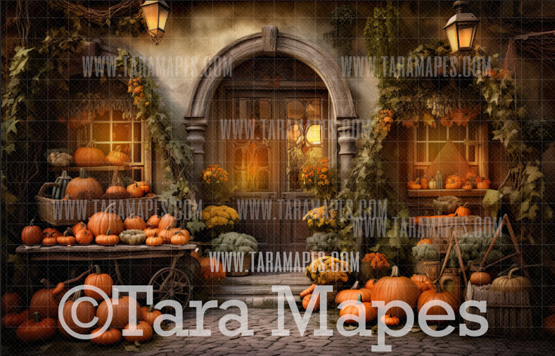 Pumpkin Shop Digital Background / Backdrop