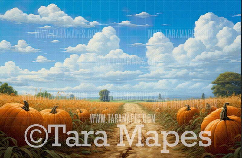 Pumpkin Patch Path Digital Background / Backdrop