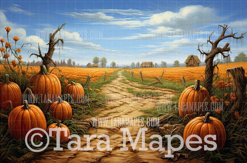 Pumpkin Patch Digital Background / Backdrop