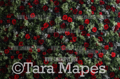 Rose Wall Digital Backdrop - Wall of Flowers Digital Background JPG