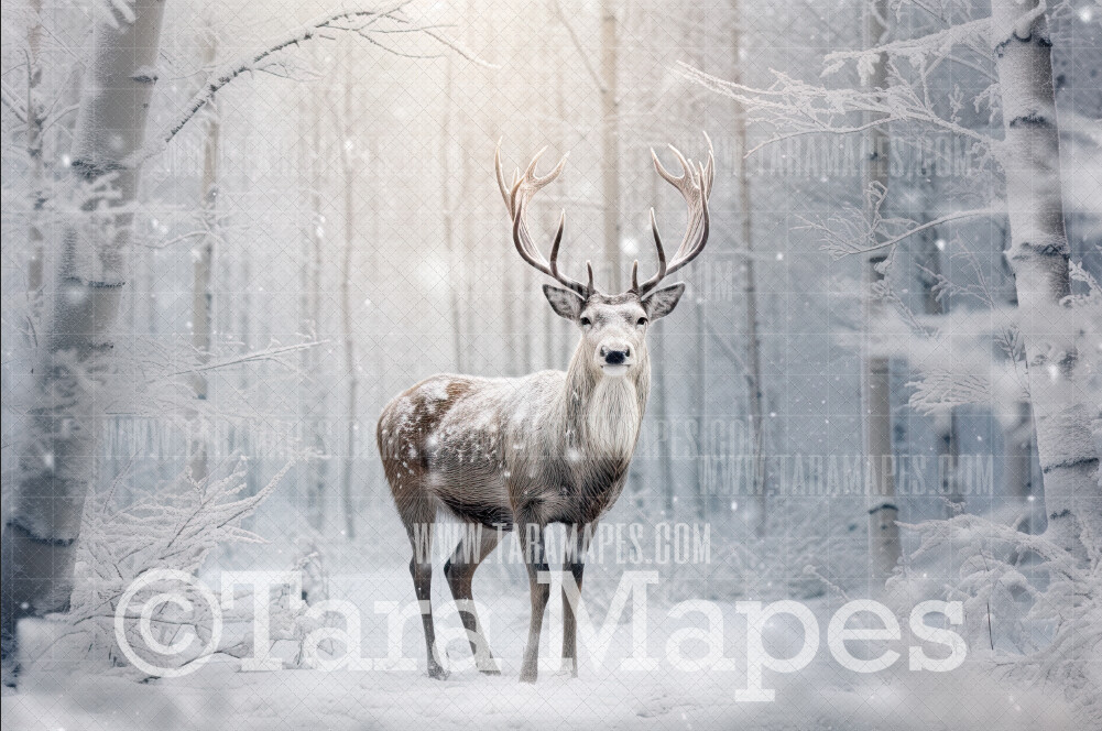 Reindeer Digital Backdrop - Free Snow overlay - Christmas Holiday Digital Background Backdrop JPG