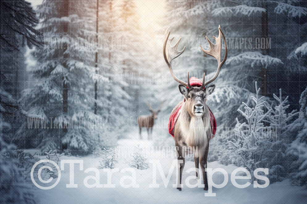 Reindeer Digital Backdrop - Reindeer wearing hat  in Snow - Free Snow overlay - Christmas Holiday Digital Background Backdrop JPG