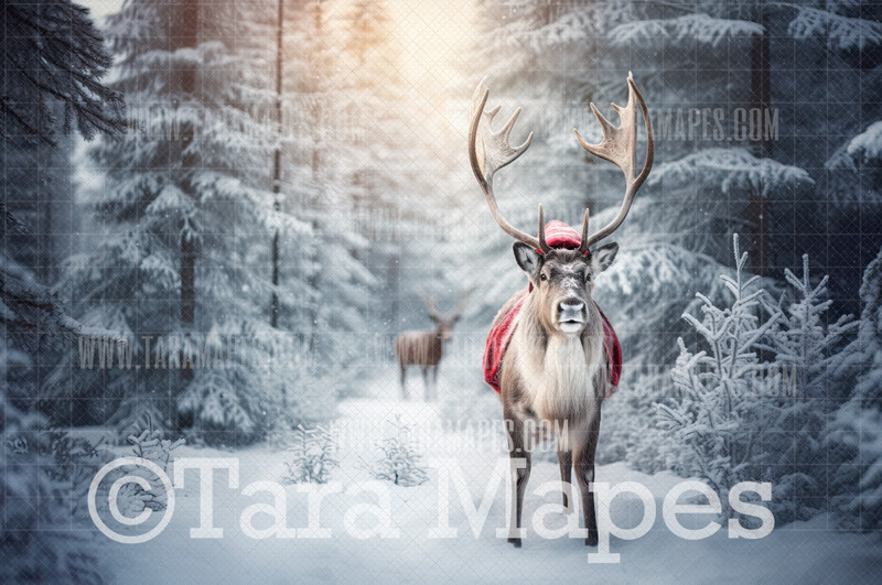 Reindeer Digital Backdrop - Reindeer wearing hat in Snow - Free Snow overlay - Christmas Holiday Digital Background Backdrop JPG Reindeer Digital Backdrop - Reindeer wearing hat in Snow - Free Snow overlay - Christmas Holiday Digital Background Backdrop JPG