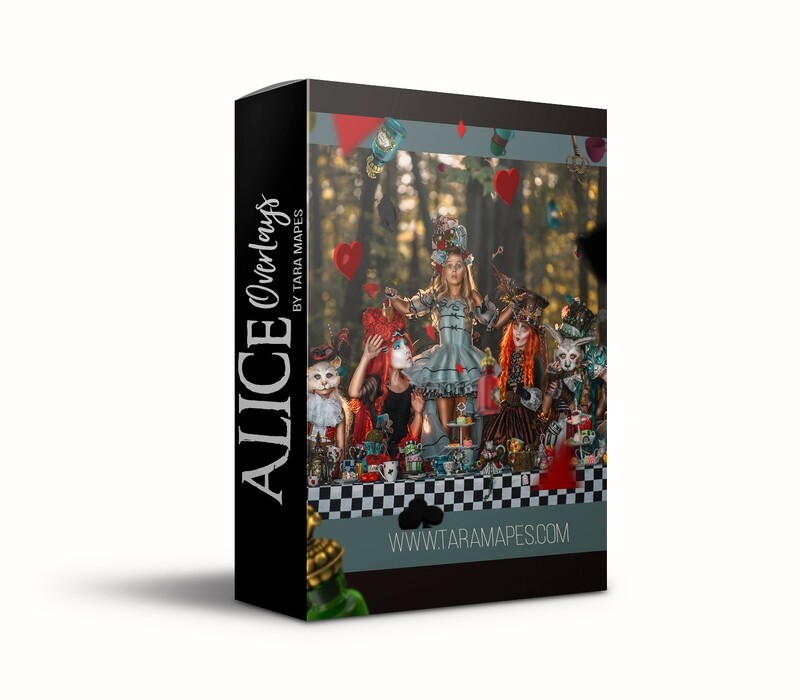 Alice in Wonderland 4 Pack Overlays PNG - Alice in Wonderland Overlays