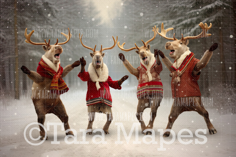 Reindeer Dancing  - Dancing Reindeer - Funny Deer in Winter Snowy Scene- Separate Snow Overlay - Christmas Digital Background Backdrop