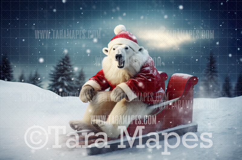 Polar Bear Sledding - Funny Polar Bear in Winter Snowy Scene- Separate Snow Overlay - Christmas Digital Background Backdrop