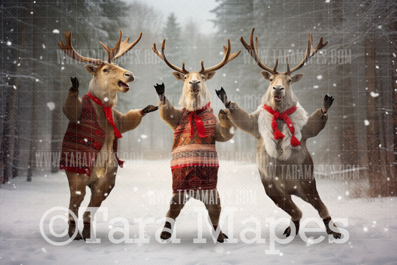 Reindeer Dancing - Dancing Reindeer - Funny Deer in Winter Snowy Scene- Separate Snow Overlay - Christmas Digital Background Backdrop Reindeer Dancing - Dancing Reindeer - Funny Deer in Winter Snowy Scene- Separate Snow Overlay - Christmas Digital Background Backdrop