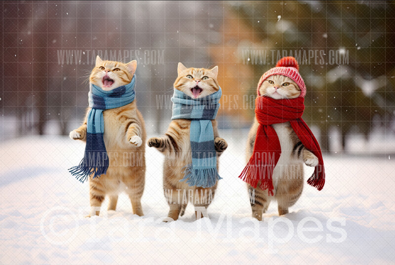 Christmas Cats  - Funny Cats in Winter Snowy Scene- Separate Snow Overlay - Christmas Digital Background Backdrop