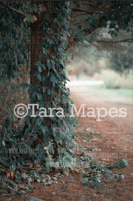 Tree Path Digital Background / Backdrop