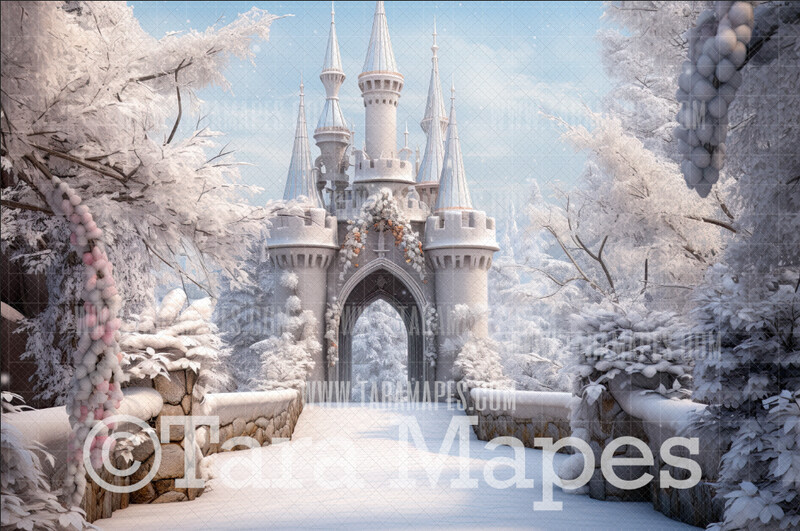 Winter Castle Digital Backdrop - Frozen Castle Entrance - Ice House - Frozen House - Frozen Castle Digital Background