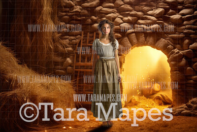 Spinning Wheel Room - Miller&#39;s Daughter Hay Room - Rumplestiltskin Digital Backdrop