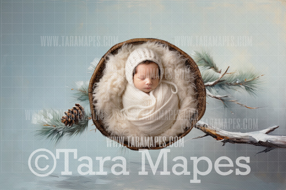Winter Branch Newborn Digital Background JPG
