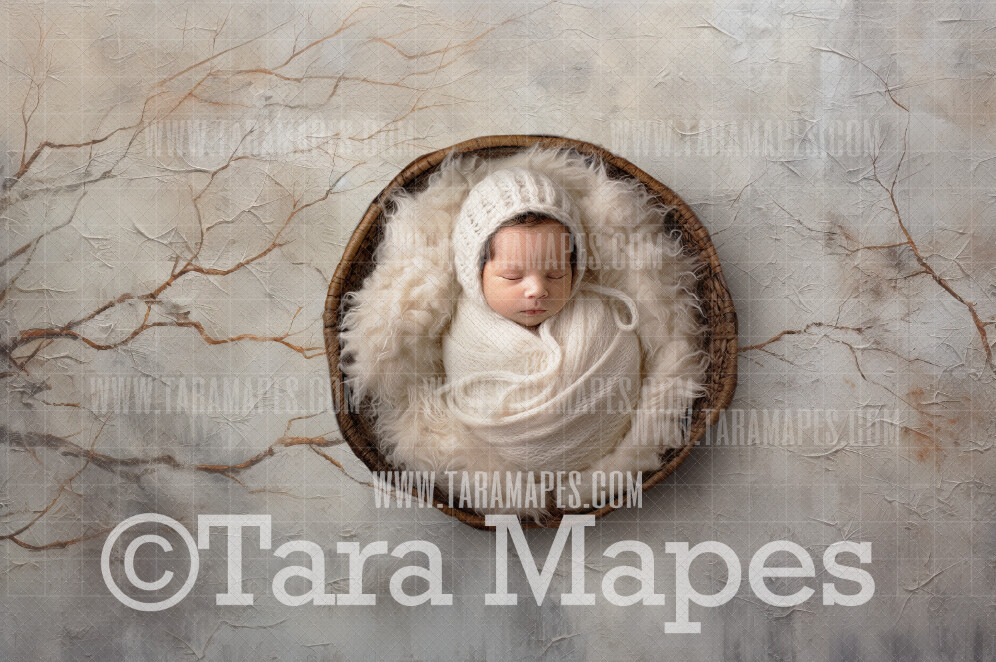 Wintery Trees Texture Newborn Nature Digital Background JPG