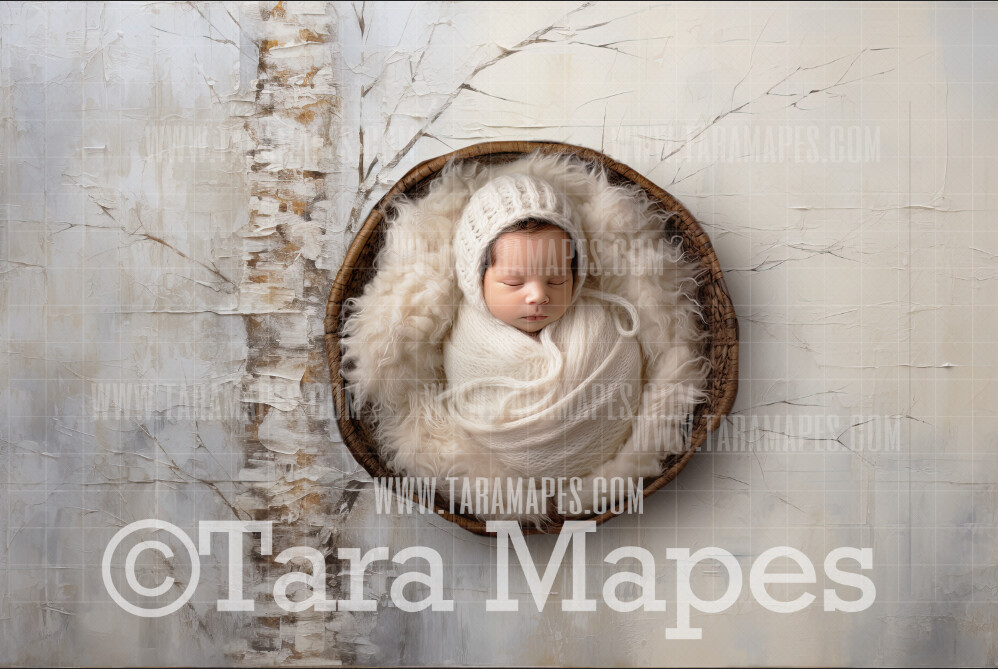 Winter Trees Texture Newborn Nature Digital Background JPG