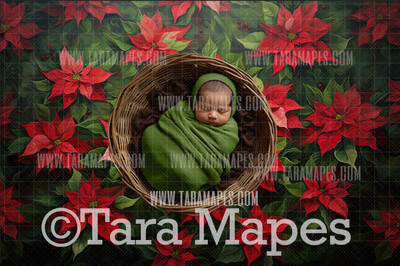 Christmas Poinsettia Newborn Nature Digital Background JPG
