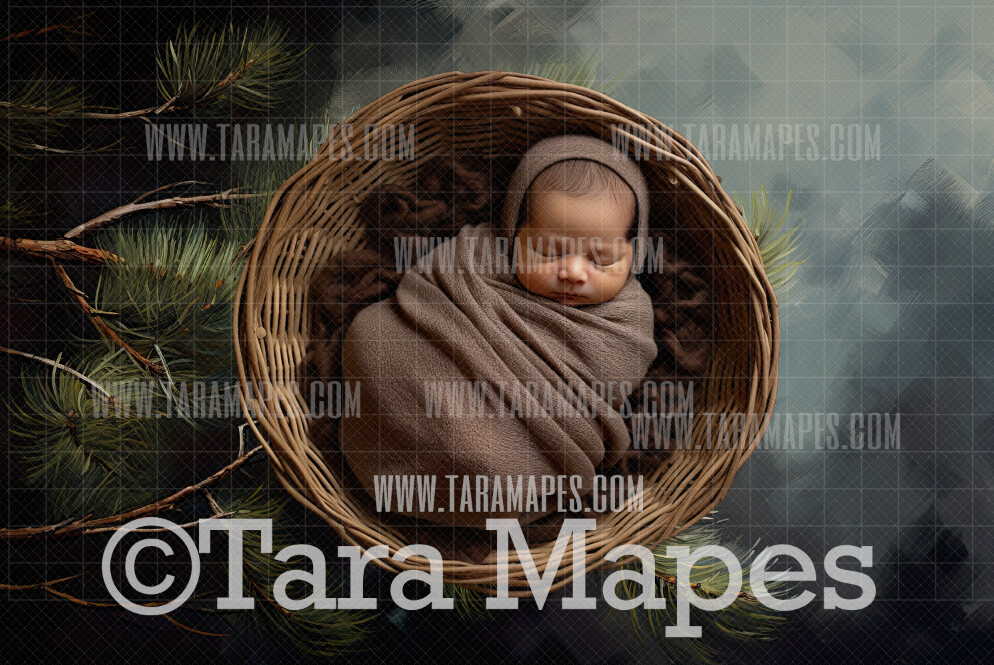 Pine Tree Branch Newborn Digital Background JPG