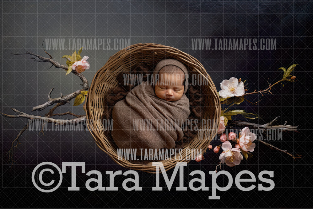 Cherry Tree Branch Newborn Nature Digital Background JPG