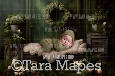 Mother Nature Newborn Digital Background JPG