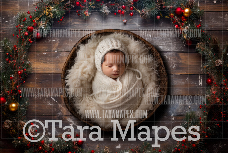 Painterly Christmas Newborn Nature Digital Background JPG