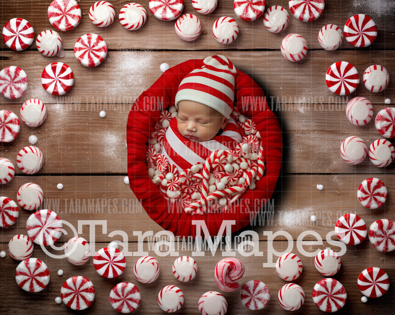 Christmas Peppermint Table Family or Newborn Digital Background JPG