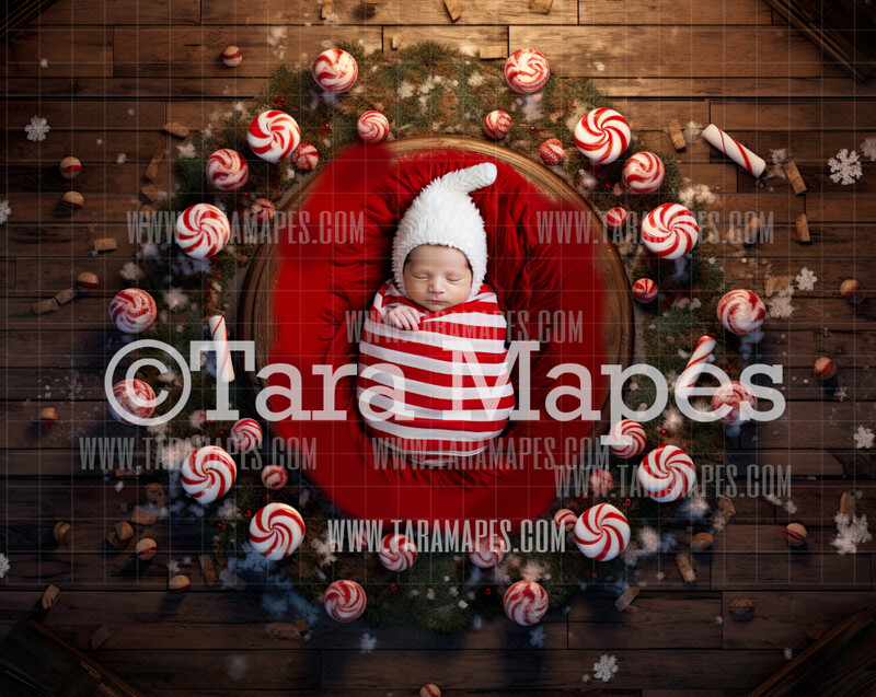 Christmas Peppermint Table Family or Newborn Digital Background JPG