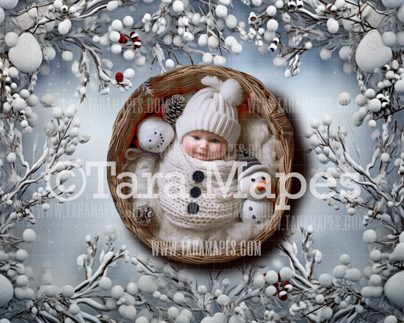 Christmas Winter Newborn Digital Background JPG
