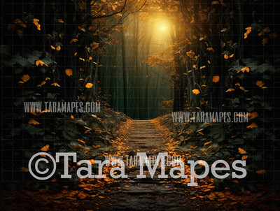 Fall Path Digital Backdrop -  Autumn Path in Woods Digital Backdrop - Fall Autumn Digital Background - Free Leaves PNG included