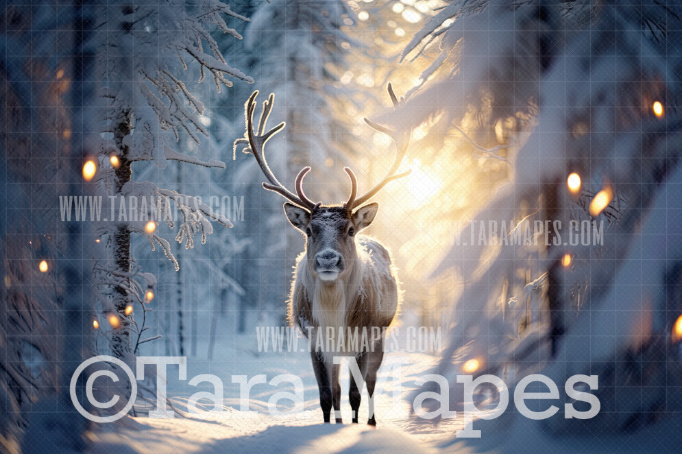 Reindeer Digital Backdrop - Free Snow overlay - Christmas Holiday Digital Background Backdrop JPG