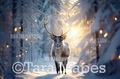 Reindeer Digital Backdrop - Free Snow overlay - Christmas Holiday Digital Background Backdrop JPG