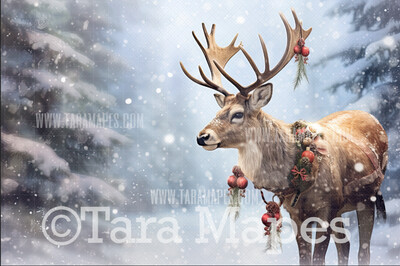 Reindeer Digital Backdrop - Free Snow overlay - Christmas Holiday Digital Background Backdrop JPG
