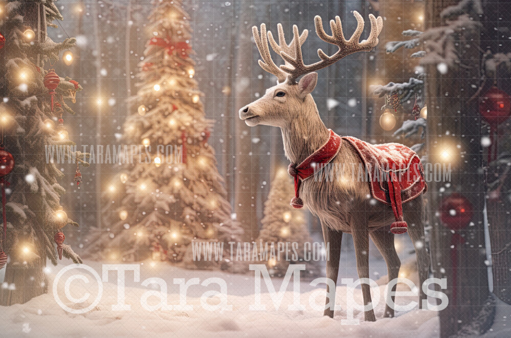 White Reindeer Digital Backdrop - Free Snow overlay - Christmas Holiday Digital Background Backdrop JPG