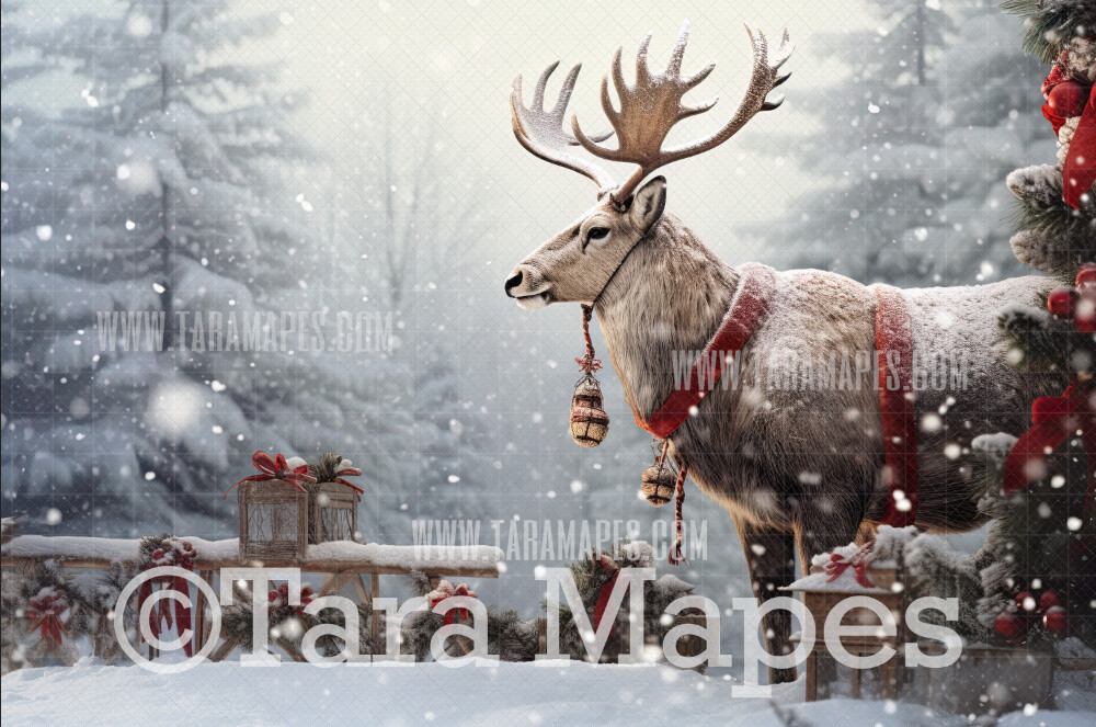 Reindeer Digital Backdrop - Free Snow overlay - Christmas Holiday Digital Background Backdrop JPG