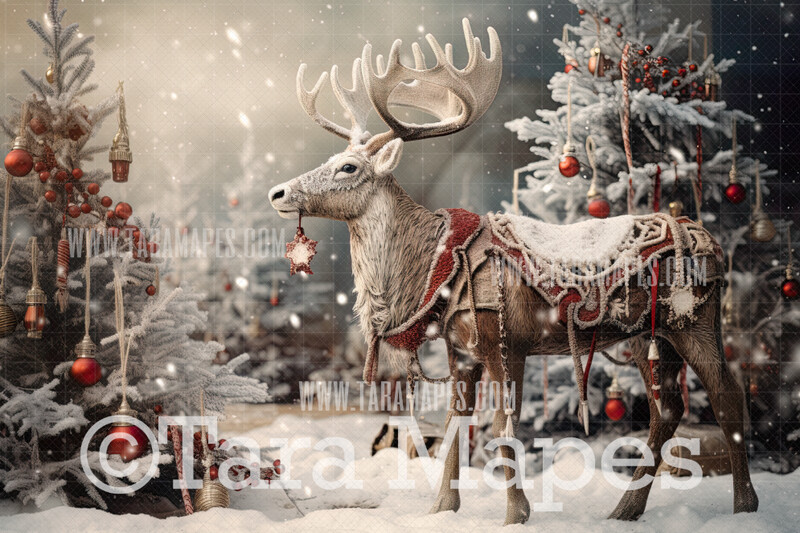 Festive Reindeer Digital Backdrop - Free Snow overlay - Christmas Holiday Digital Background Backdrop JPG