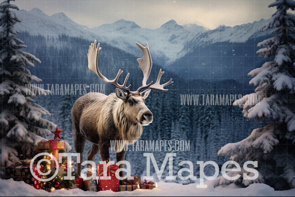 Reindeer Digital Backdrop - Free Snow overlay - Alaska Moose Christmas Holiday Digital Background Backdrop JPG