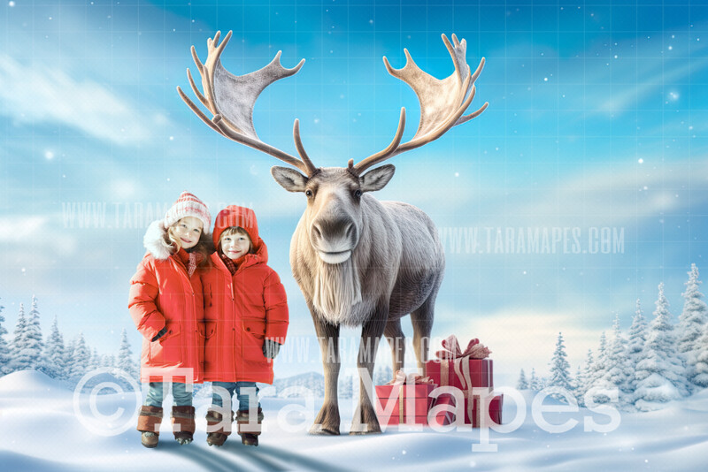 Moose Digital Backdrop - Free Snow overlay - Christmas Holiday Digital Background Backdrop JPG