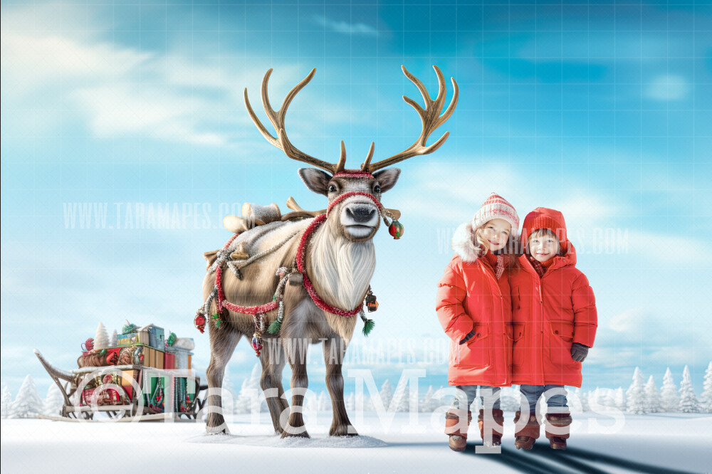 Reindeer Digital Backdrop - Free Snow overlay - Christmas Holiday Digital Background Backdrop JPG