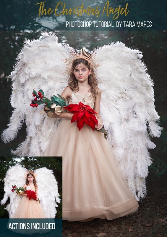 A Christmas Angel Photoshop Tutorial - Photoshop Action Workflow Set Included -- Fine Art Painterly Tutorial by Tara Mapes
