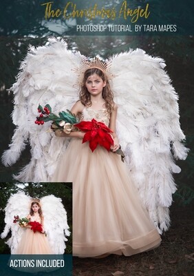 A Christmas Angel Photoshop Tutorial -  Photoshop Action Workflow Set Included --  Fine Art Painterly Tutorial by Tara Mapes